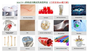 生物軟組織多尺度力學特性測試分析系統,組織材料多尺度力學特性測試分析系統