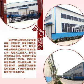 天竺葵純露 深層凈化肌膚，煥活水潤(rùn)光彩——藍(lán)玫丫廠家直銷美容院裝專業(yè)解析